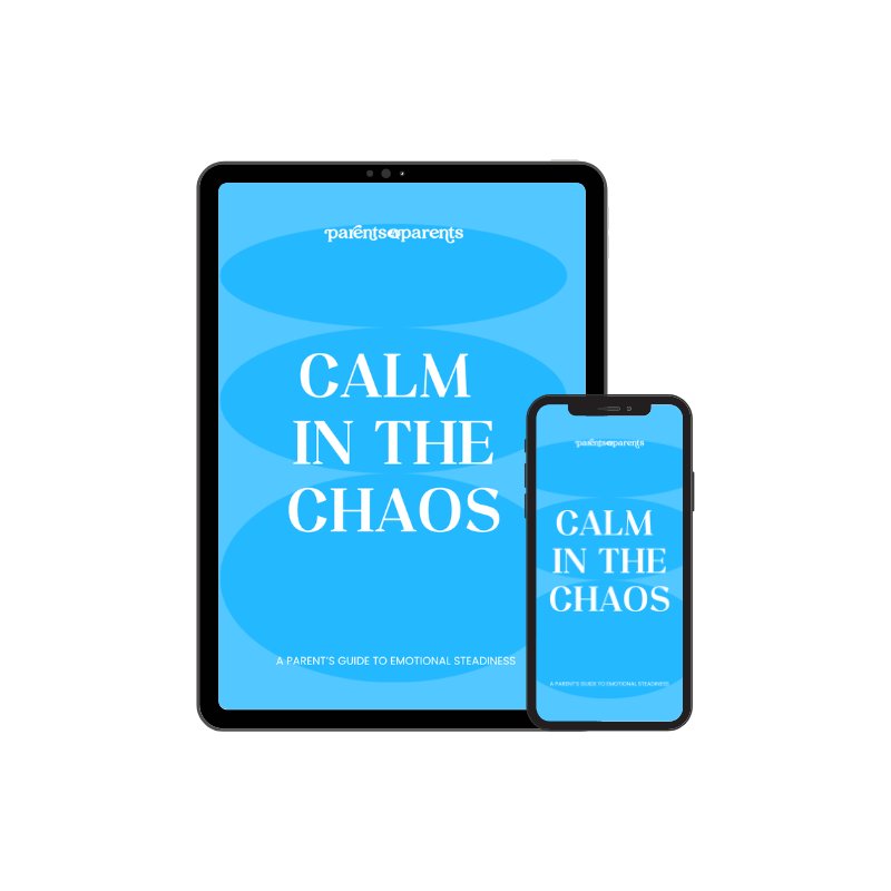 Calm in the Chaos — guide mockup
